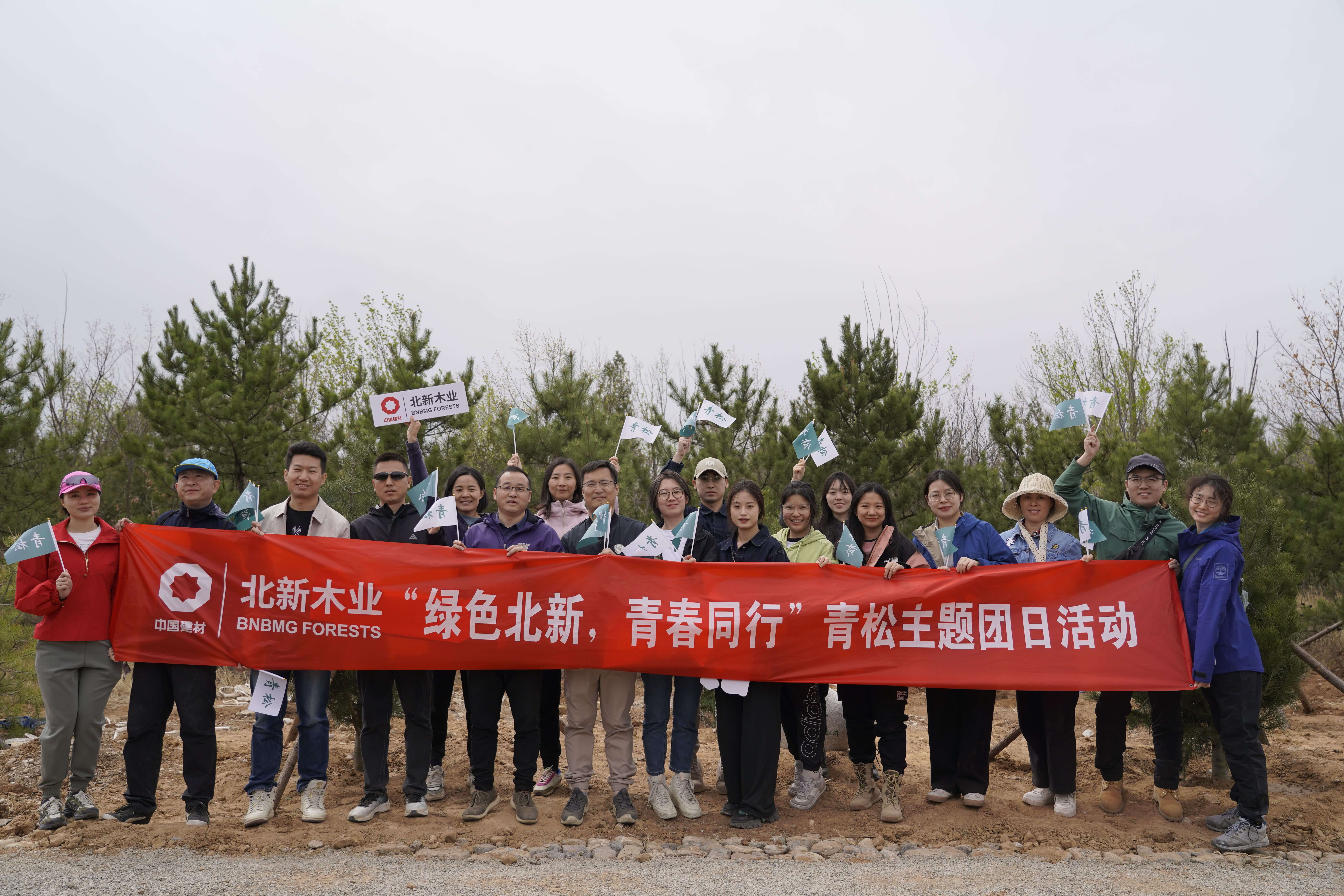北新木业团支部构造展开“绿色北新，芳华同业”青松主题团日勾当
